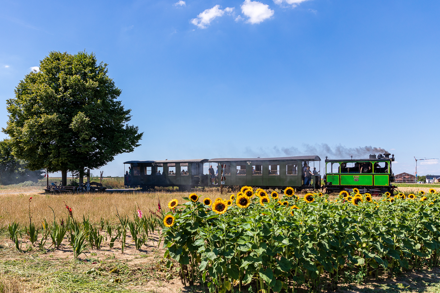 Chiemseebahn LAURA 2114 Hp Gelindchen